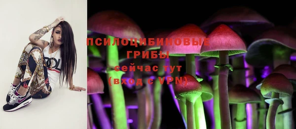 крисы Абаза