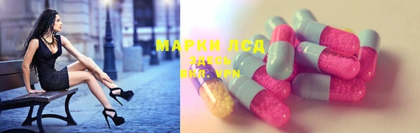 крисы Абаза
