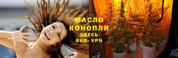 крисы Абаза