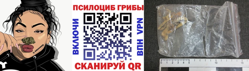 Галлюциногенные грибы Psilocybine cubensis  Усть-Илимск 
