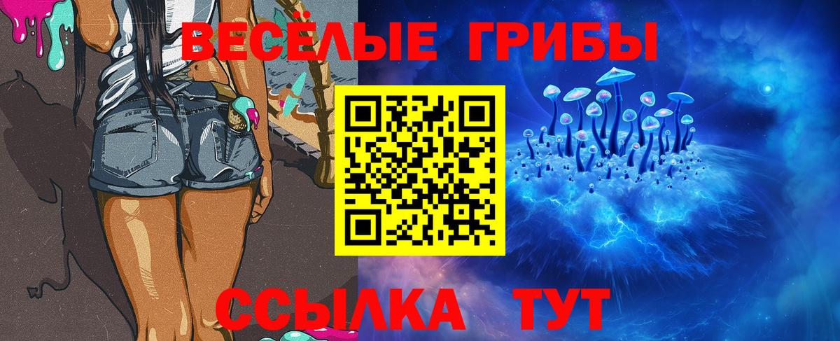 Псилоцибиновые грибы GOLDEN TEACHER Усть-Илимск